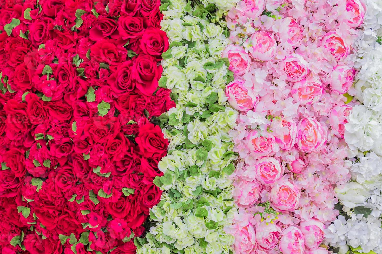 peonías florecientes artificiales de fondo de color blanco, rojo y rosa foto