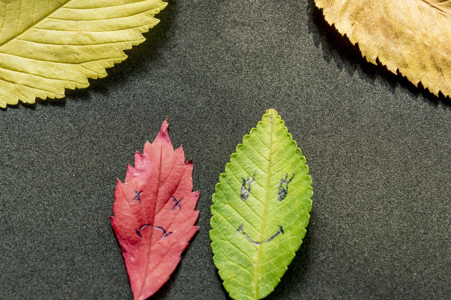 Green and red leaves with a picture of happy and sad faces on black background photo