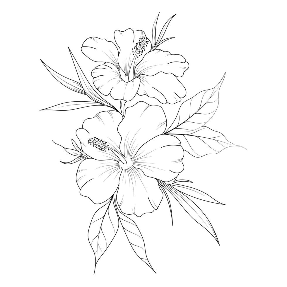 Flower line art, Floral Illustration 9988272 Vector Art at Vecteezy