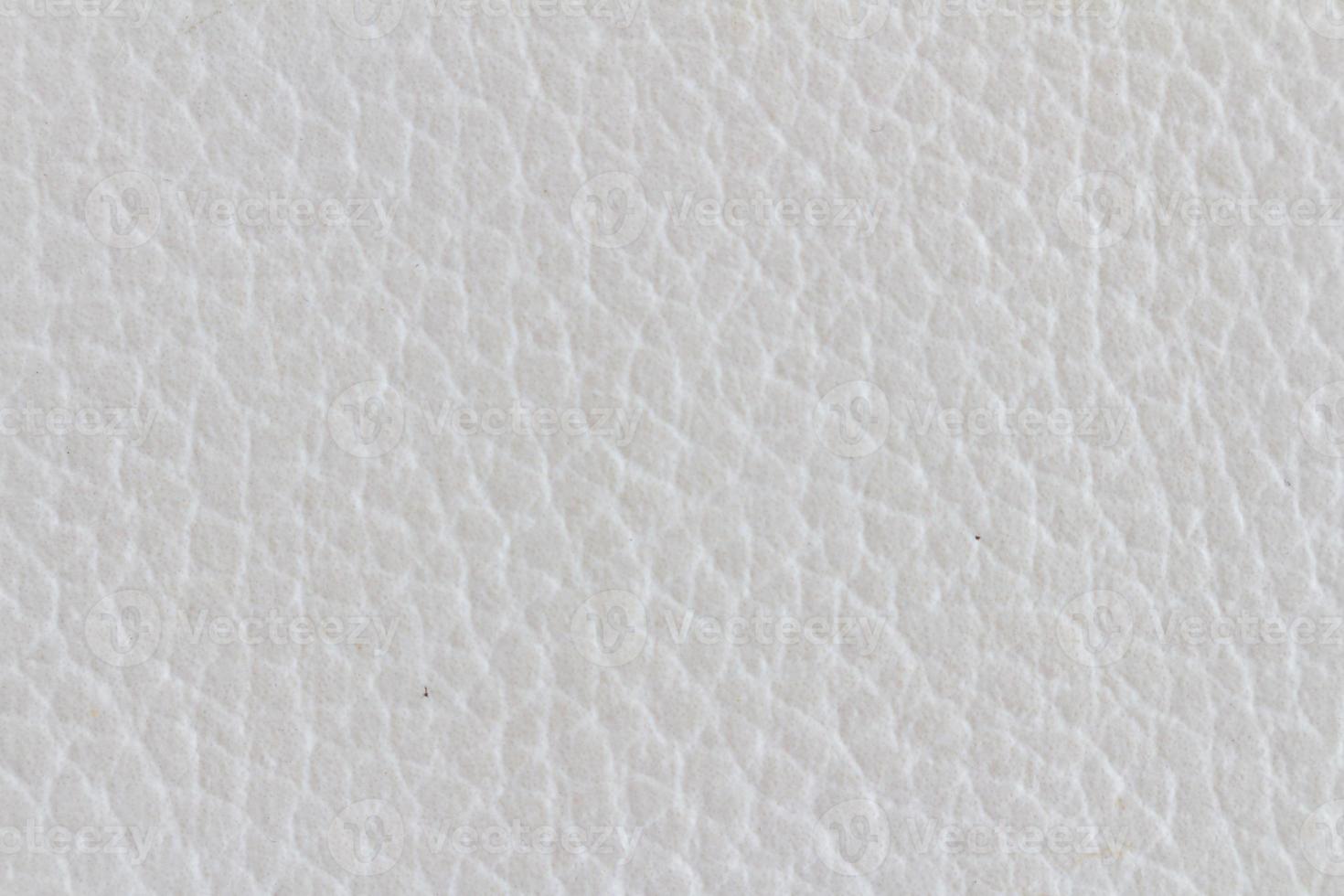 white leather couch texture