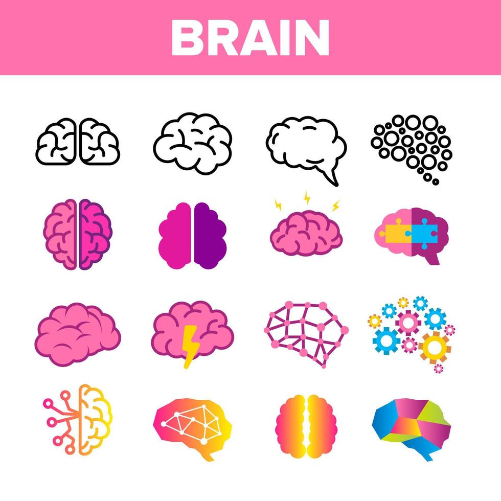 cerebro, neurología, órgano, vector, lineal, iconos, conjunto vector