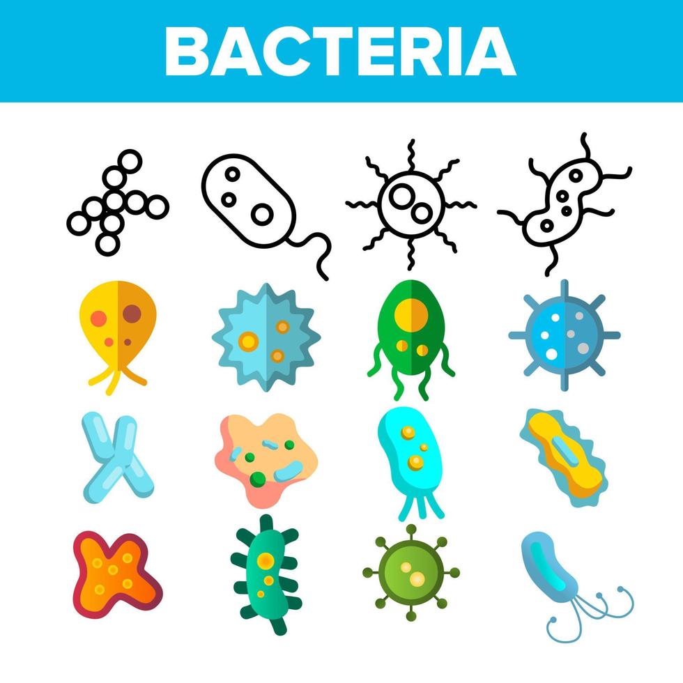 Bacteria, Bacterial Cells Vector Thin Line Icons Set
