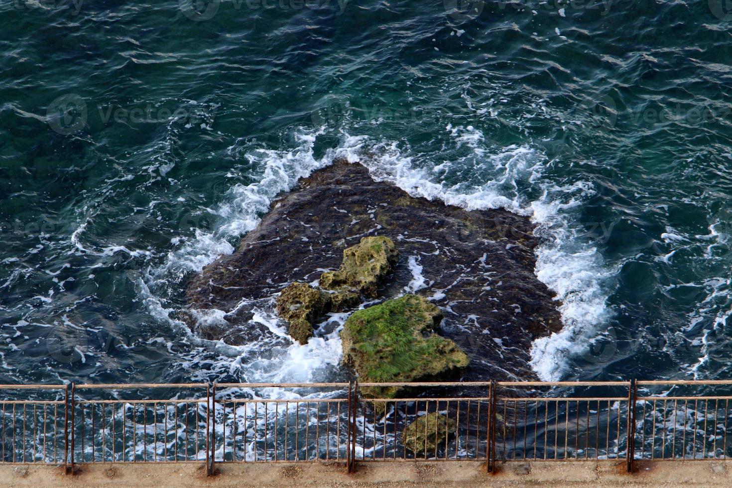 Fencing in a city park on the Mediterranean coast photo