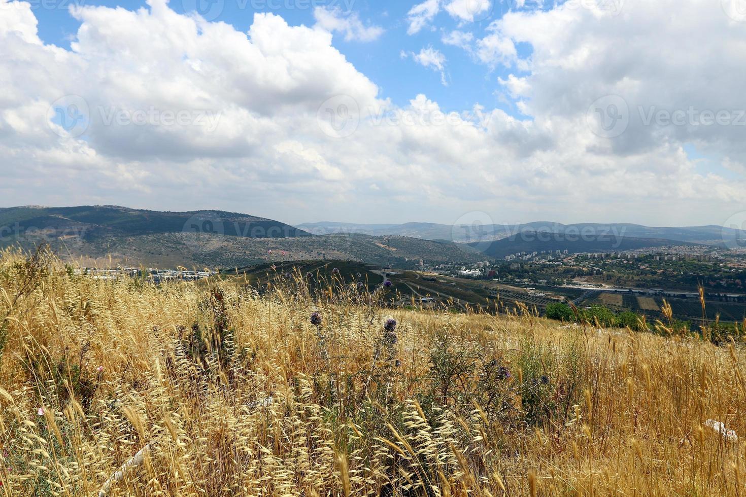 Landscape in the mountains in northern Israel photo