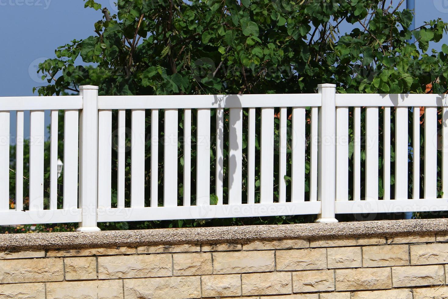 Plants and flowers grow along the high fence. photo