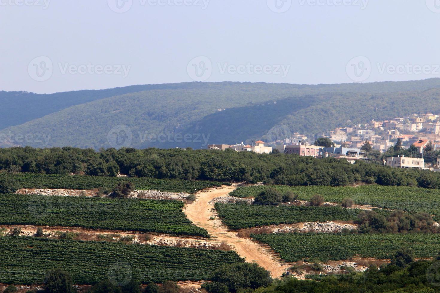 Natural landscape in northern Israel. photo