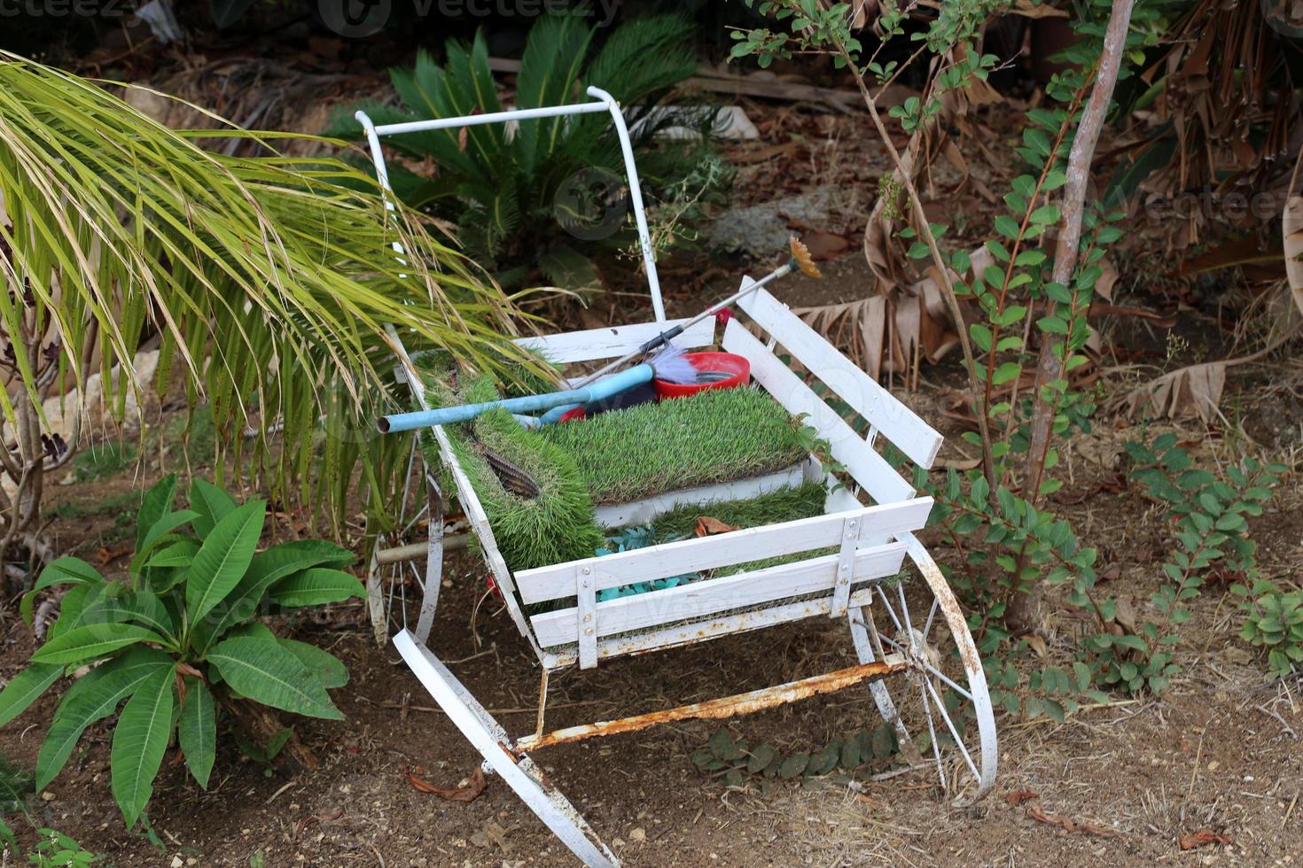 Stroller for transportation of small loads. photo