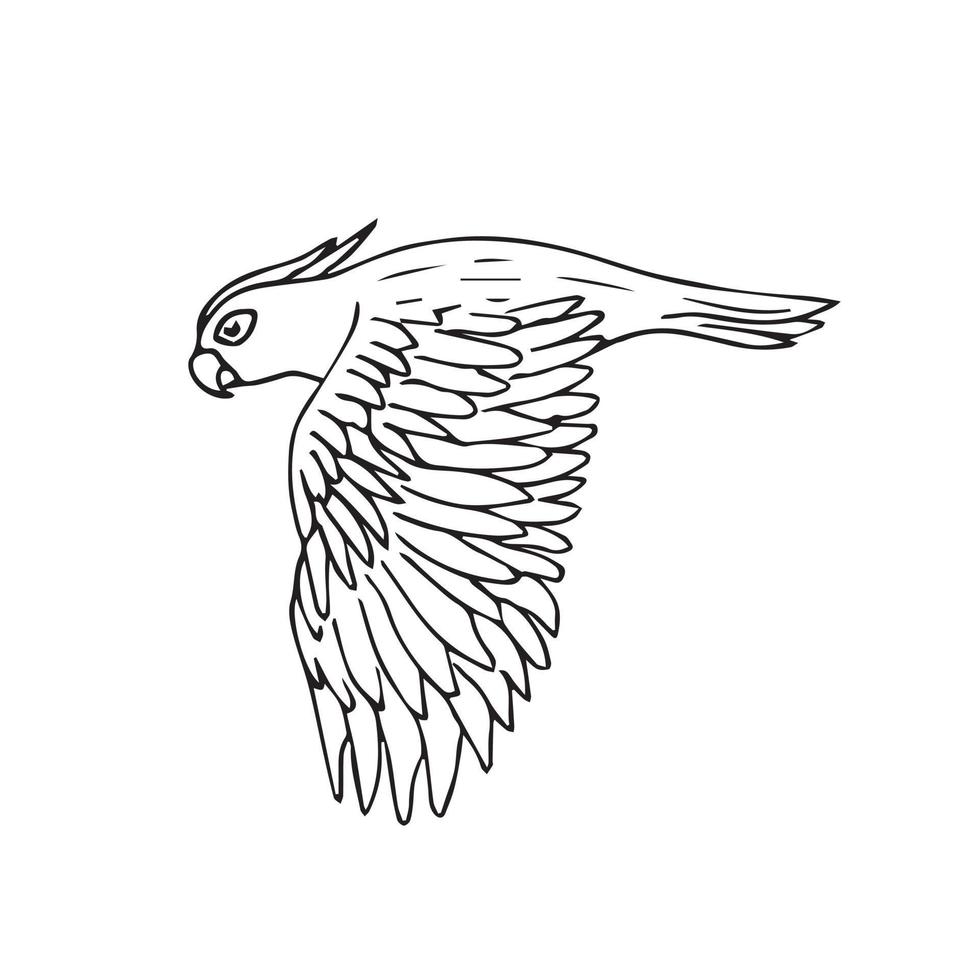 Vector hand drawn flying cockatoo