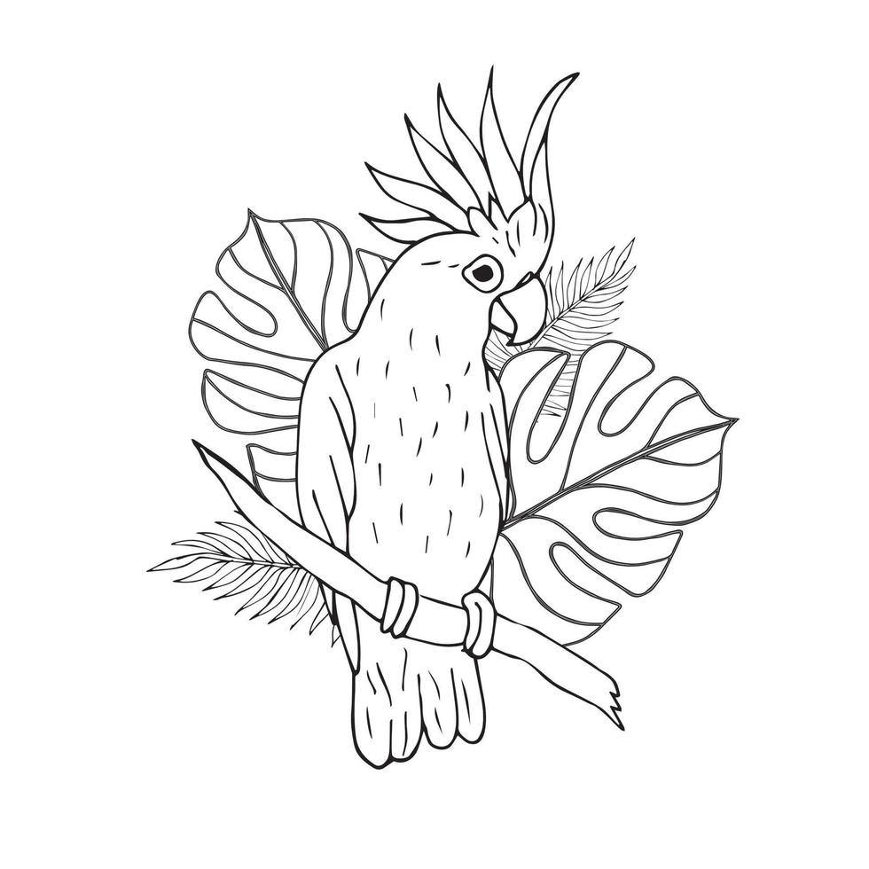 Vector hand drawn cockatoo