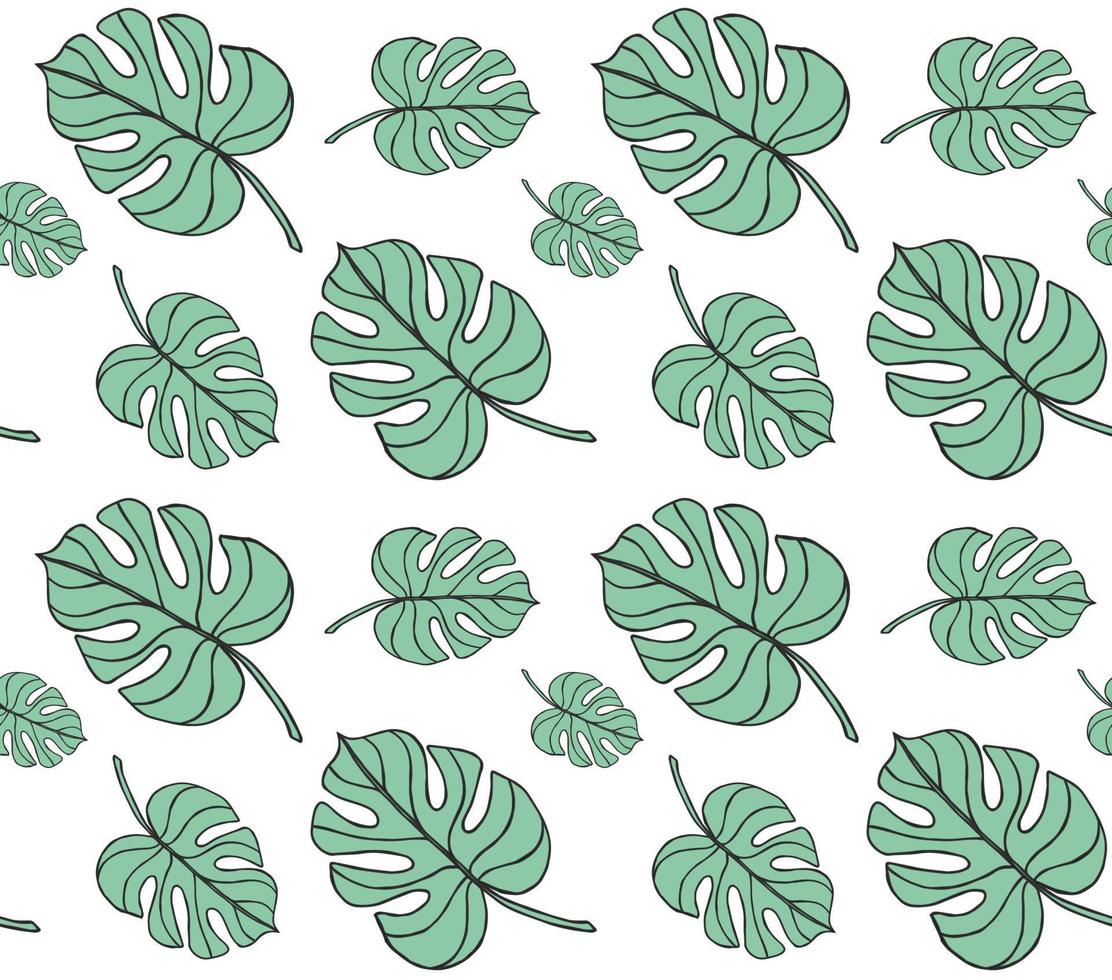 Vector seamless pattern of mint monstera leaf