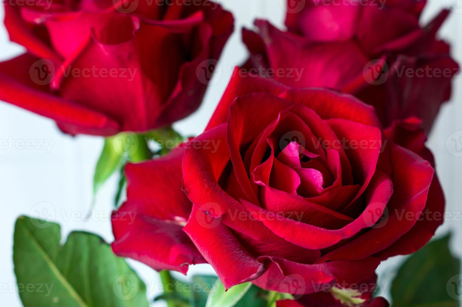 Beautiful Red Roses Beautiful Bouquet Birthday Stock Photo