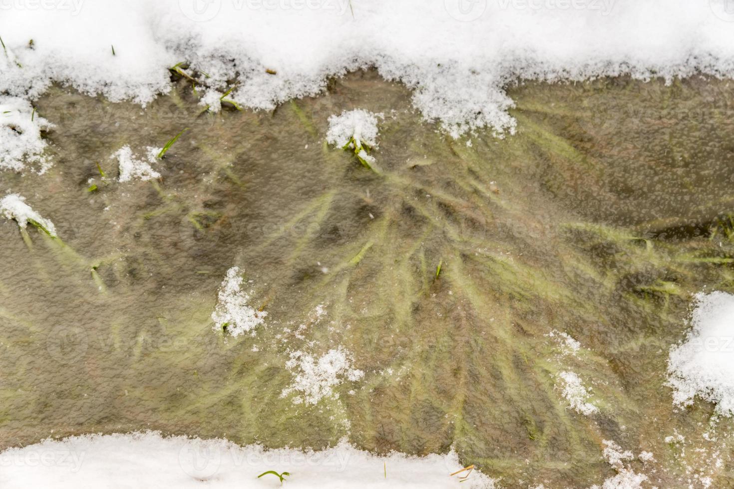 water covered with ice with frosen grass inside photo