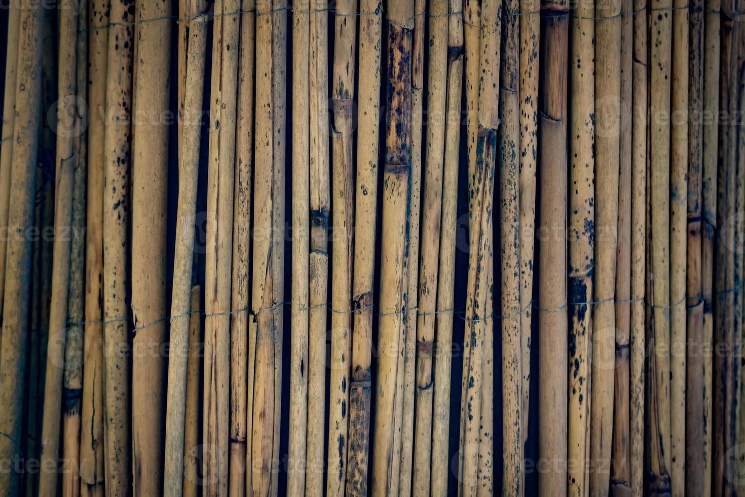 dark bamboo background texture photo