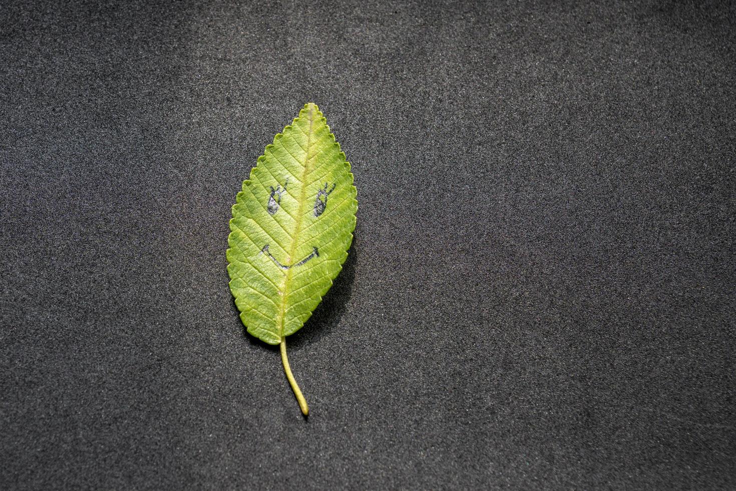 Green leaf with a picture of happy face on black background photo