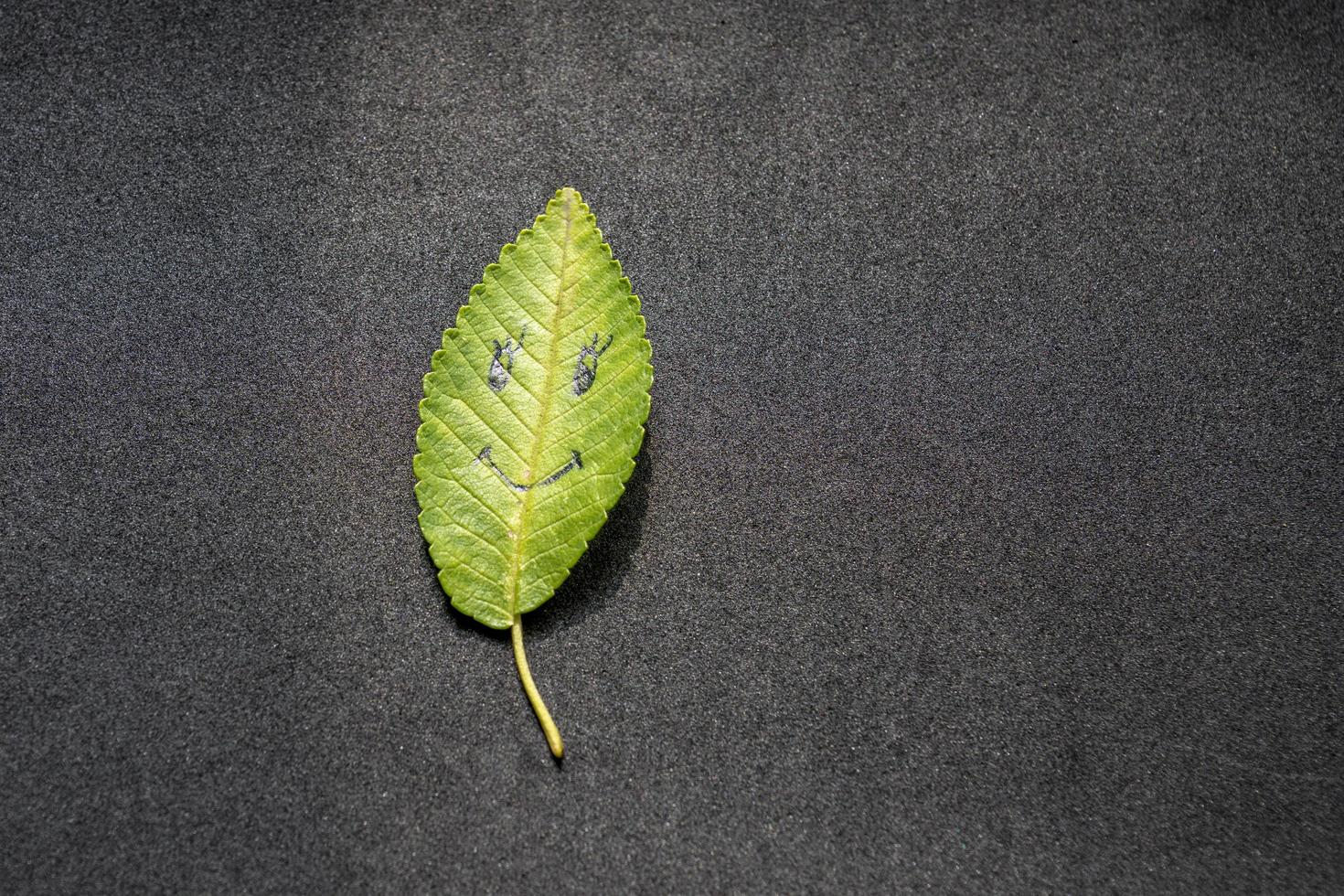 Green leaf with a picture of happy face on black background photo