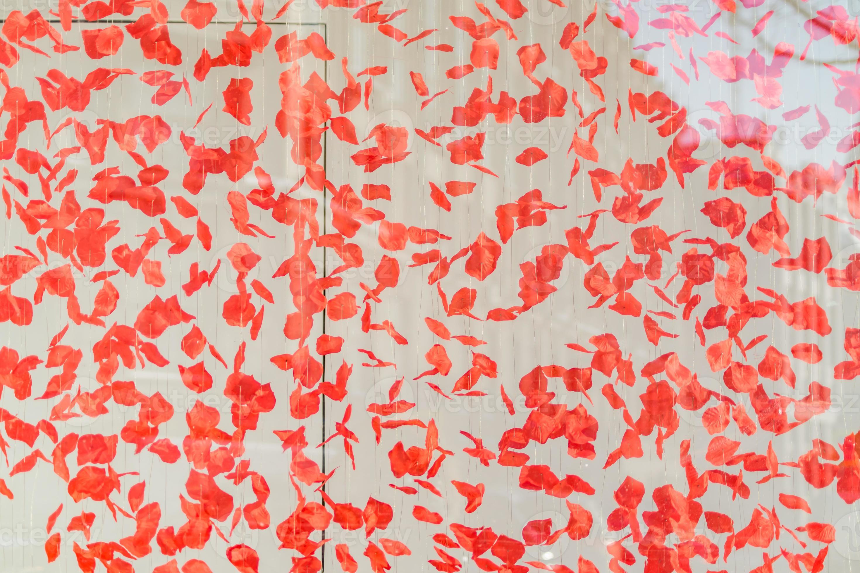 garland made of artificial rose petals. Flower background 9995811 Stock