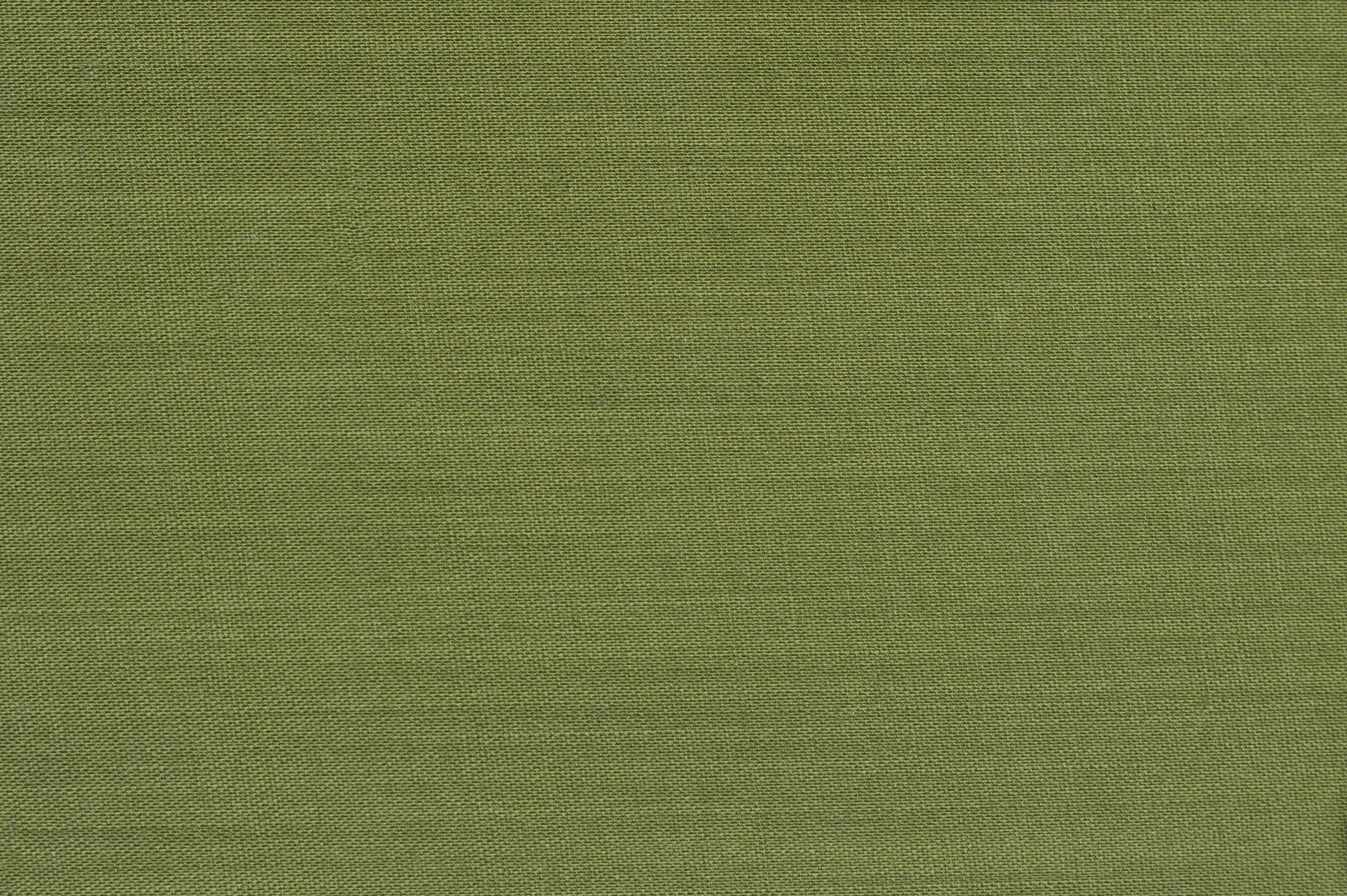 Book cover canvas textured green background 9995846 Stock Photo at Vecteezy