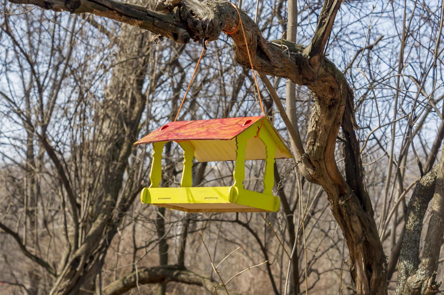 The birdhouse on a tree photo