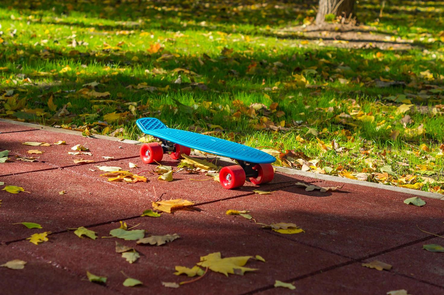 abandoned skateboard in park photo