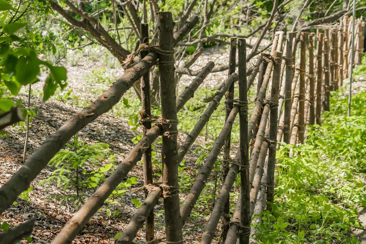 Wooden fence made of branches. Decoration of the city park. photo