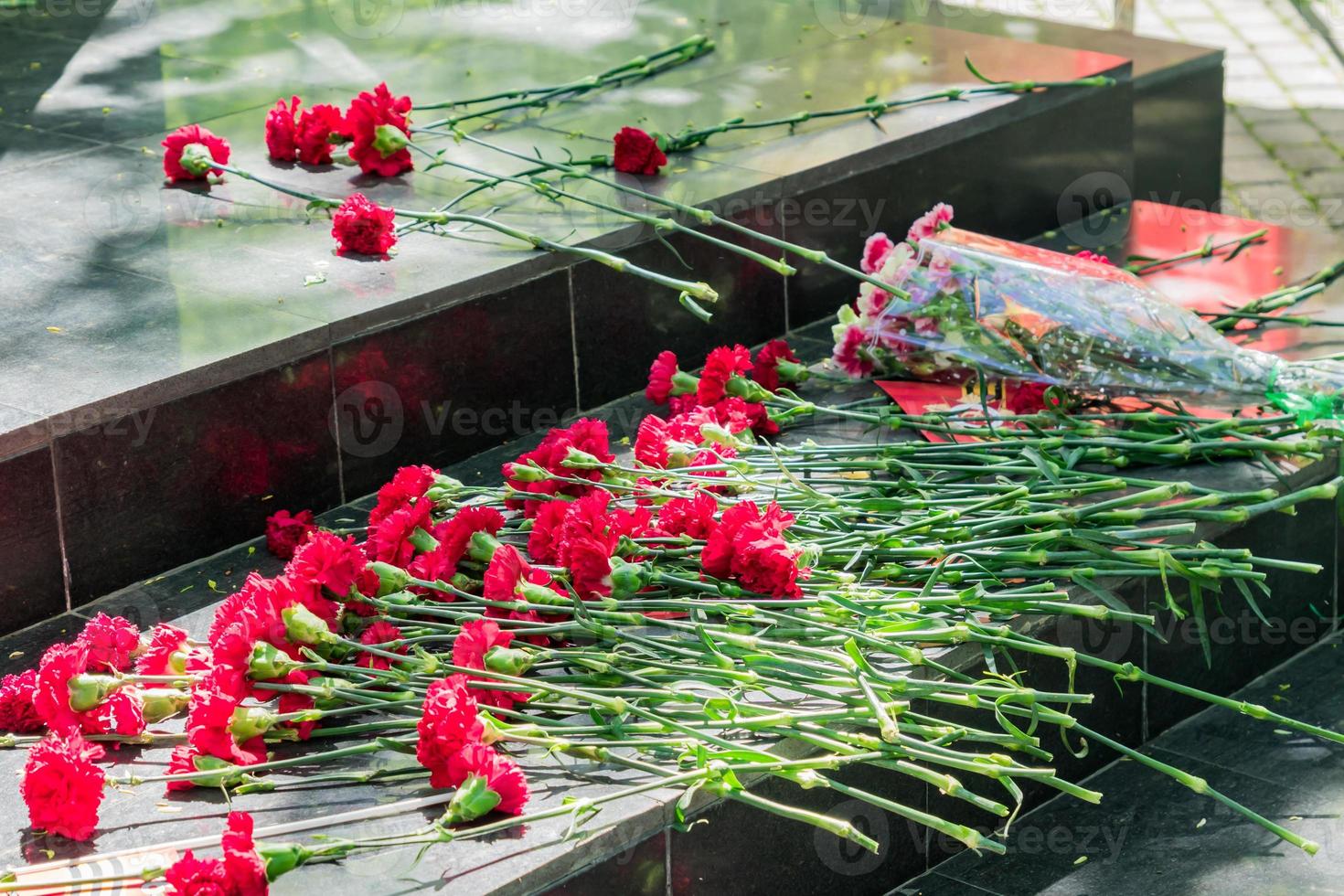 Red carnations at the monument in honor of the victory day of Great Patriotic war in memory of those who was killed there photo