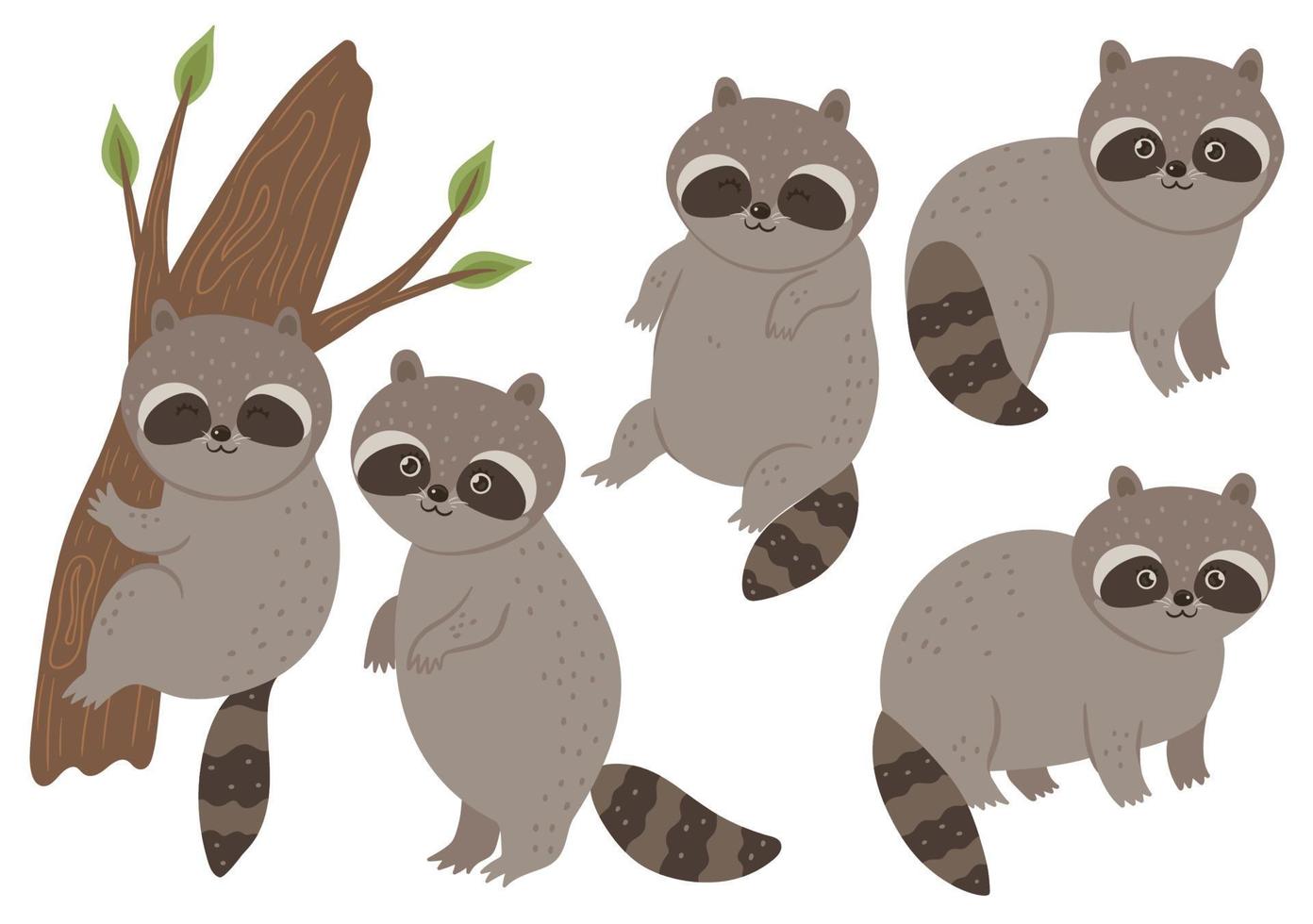 Set of cute raccoons isolated on a white background. Vector graphics.