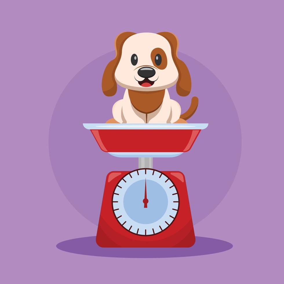 Cute Puppy on Wight Scale Illustration Vector 9998676 Vector Art at Vecteezy