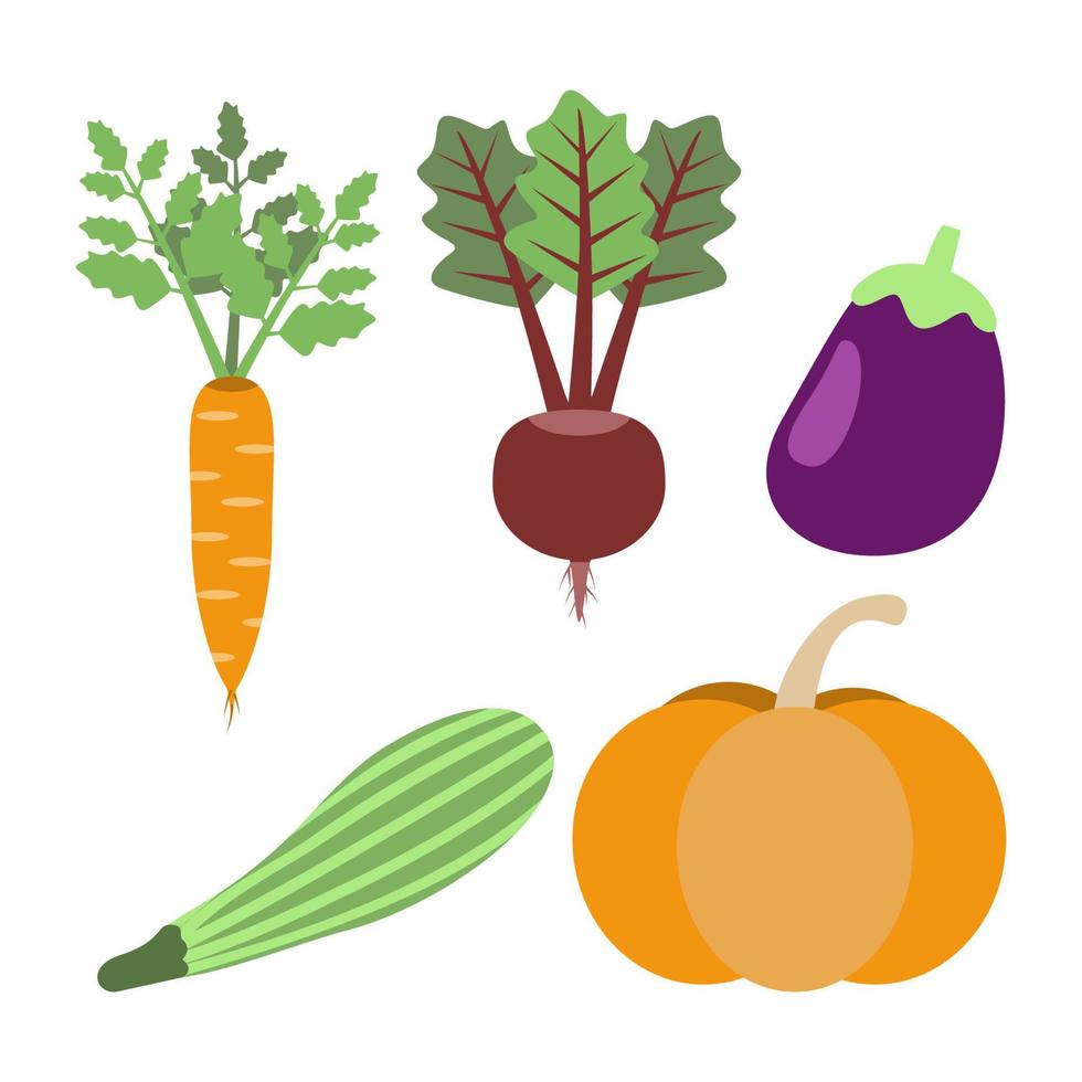 Carrot, Beet, Eggplant, Vegetable Marrow, Pumpkin - Vegetables Harvest vector