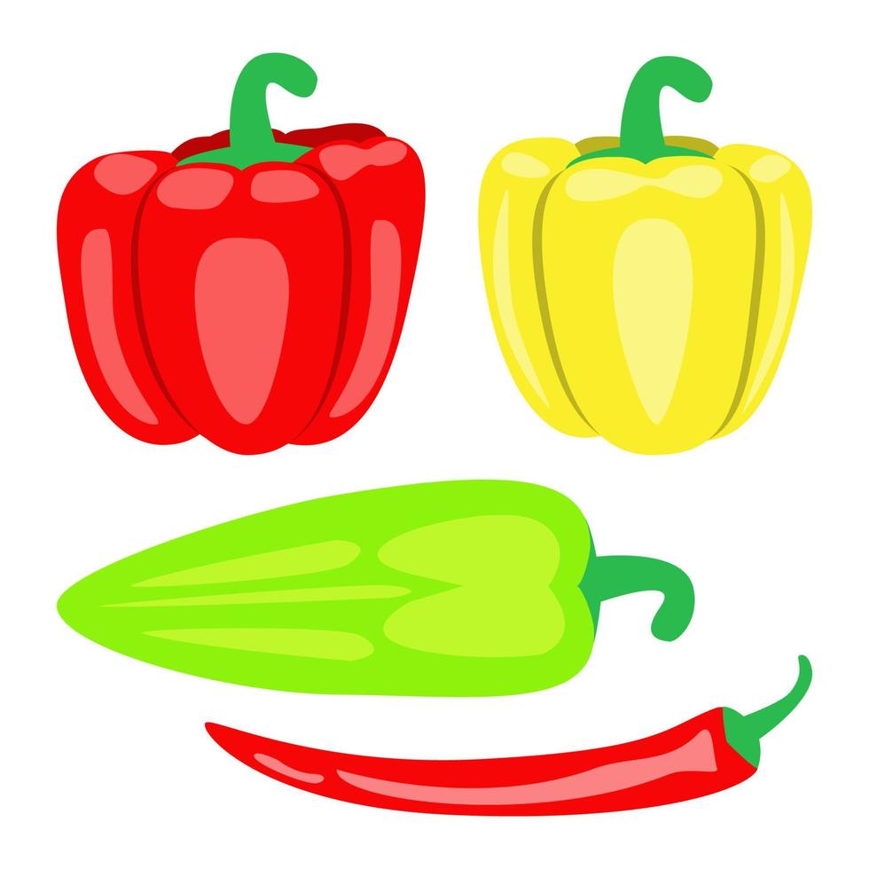 Sweet Bell Peppers and Red Hot Chili Pepper, Vegetables vector