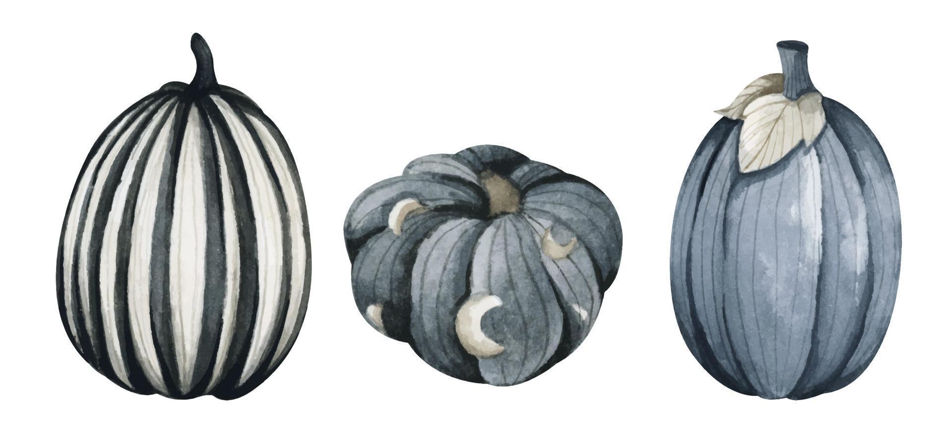 colección festiva de halloween de otoño. conjunto de calabaza en blanco y negro. ilustración de acuarela vector