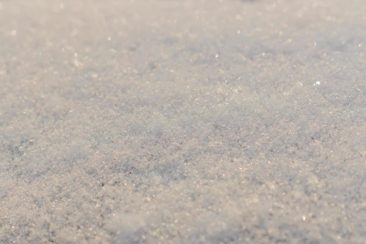 snow white background photo