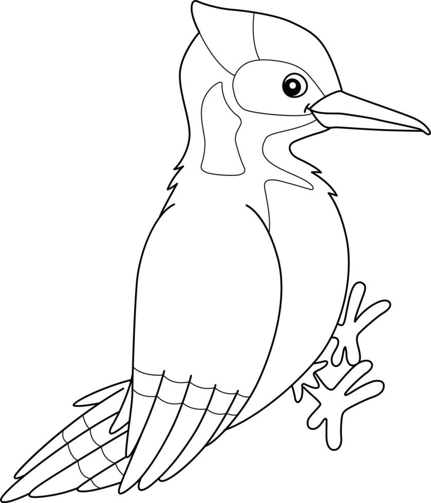 Woodpecker Bird Animal Coloring Page for Kids vector