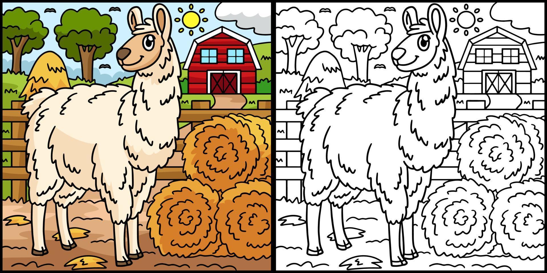 Llama Coloring Page Colored Illustration vector