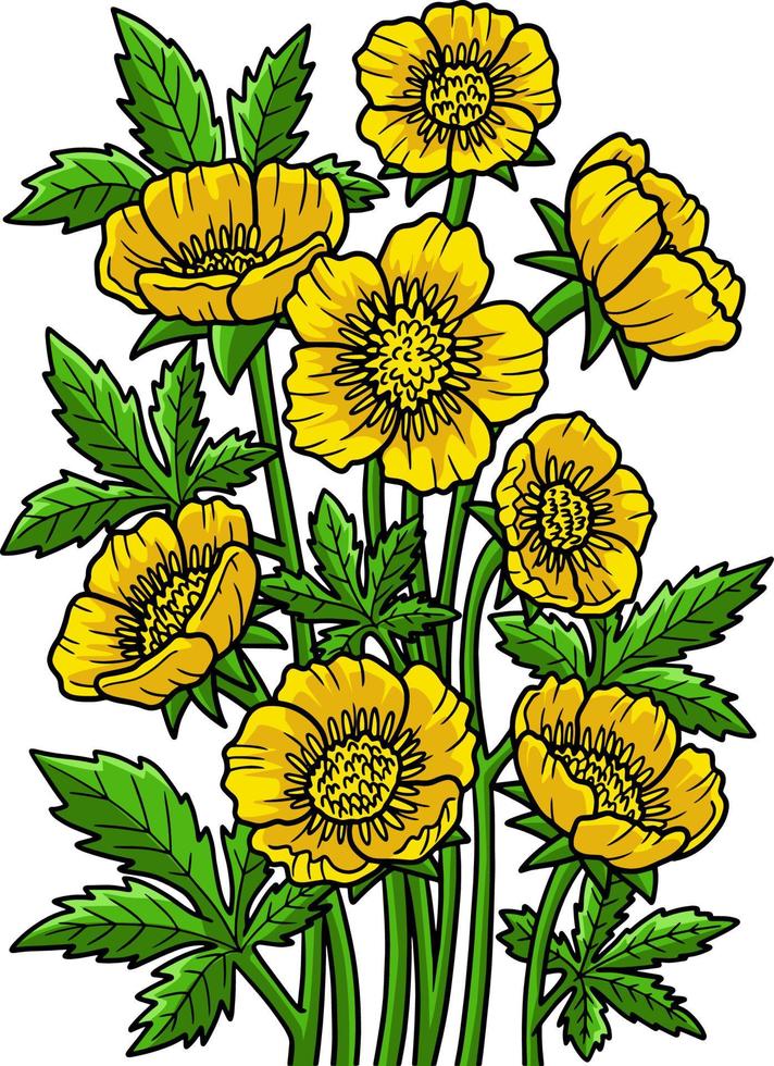 Bulbous Buttercup Flower Cartoon Colored Clipart vector