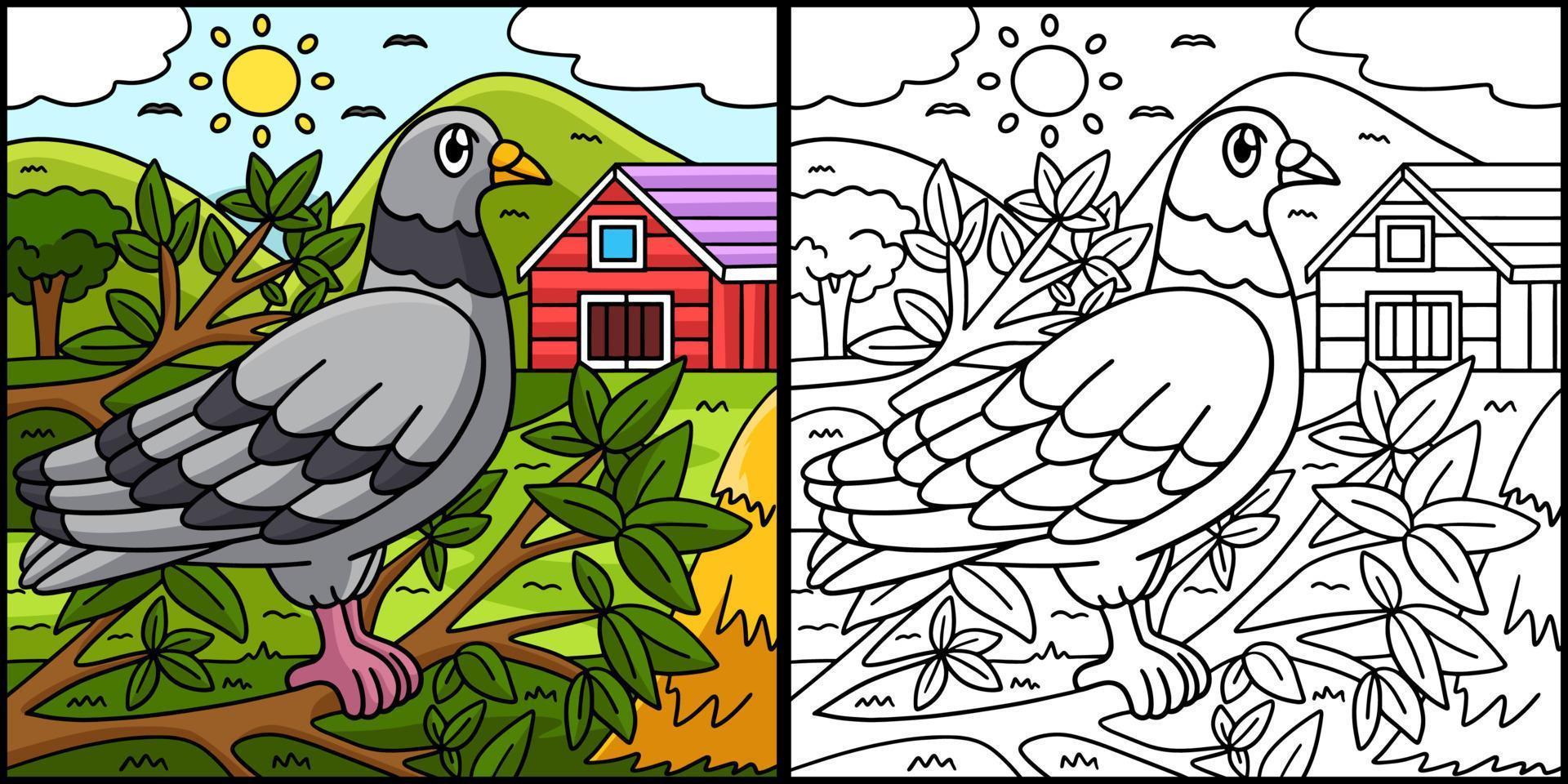 Pigeon Coloring Page Colored Illustration vector