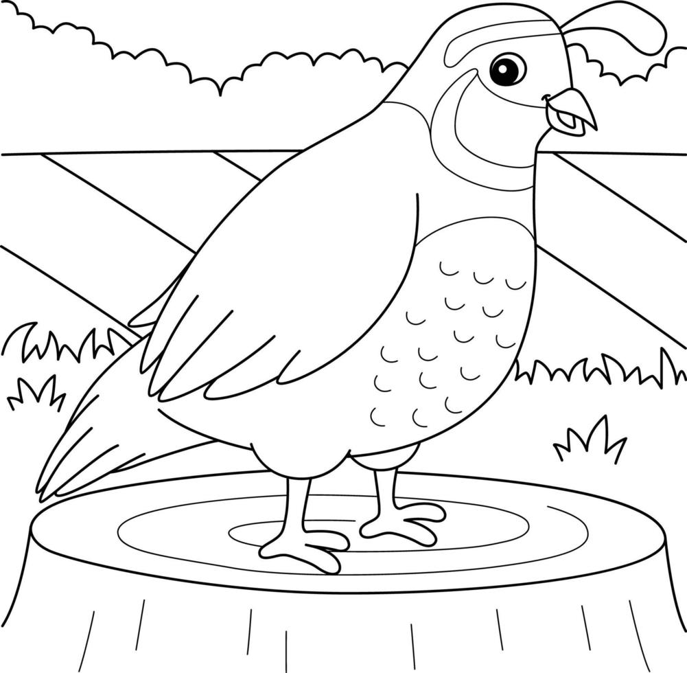 Quail Animal Coloring Page for Kids vector