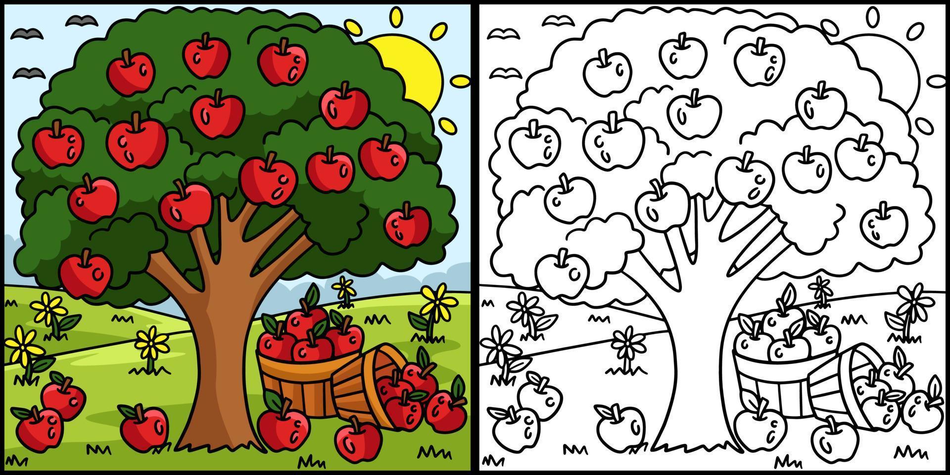 Apple Tree Coloring Page Colored Illustration vector