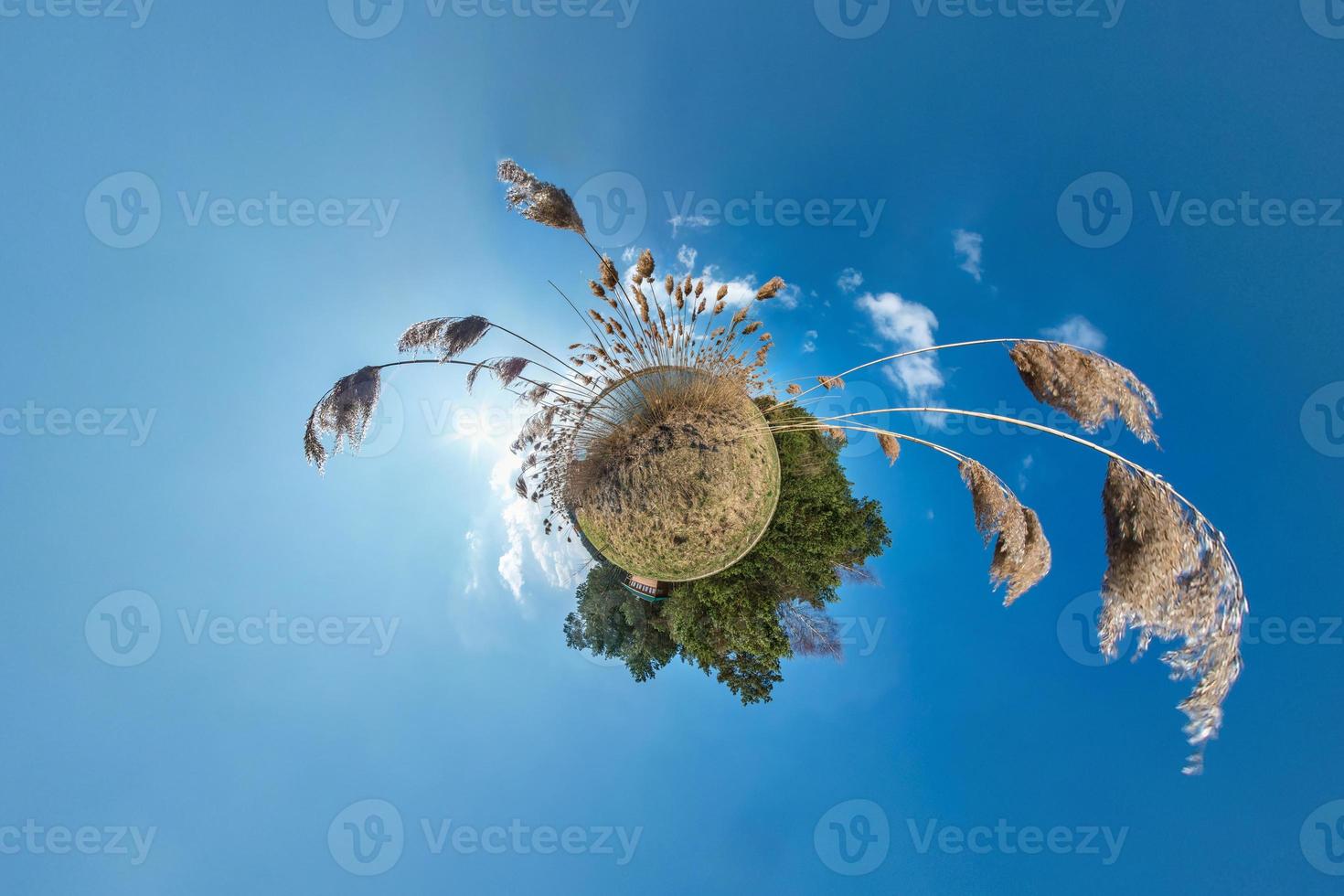 Little planet transformation with curvature of space. Spherical aerial 360 view panorama on the shore of lake with thickets of reeds in sunny summer photo