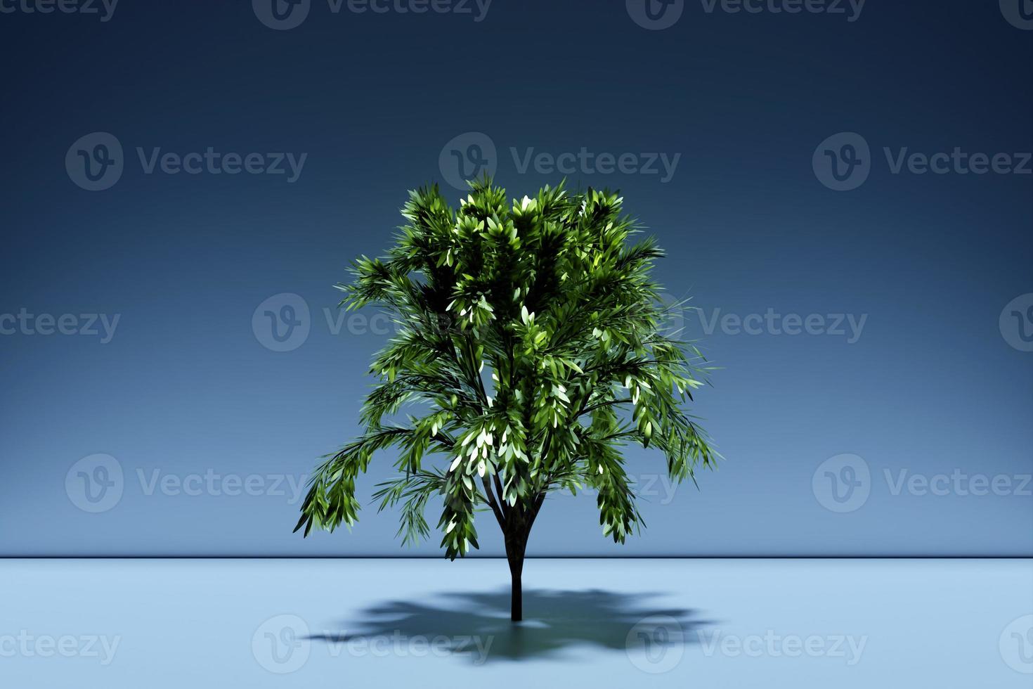 3d illustration of realistic green decorative tree isolated on  blue background. Stylized deciduous tree photo