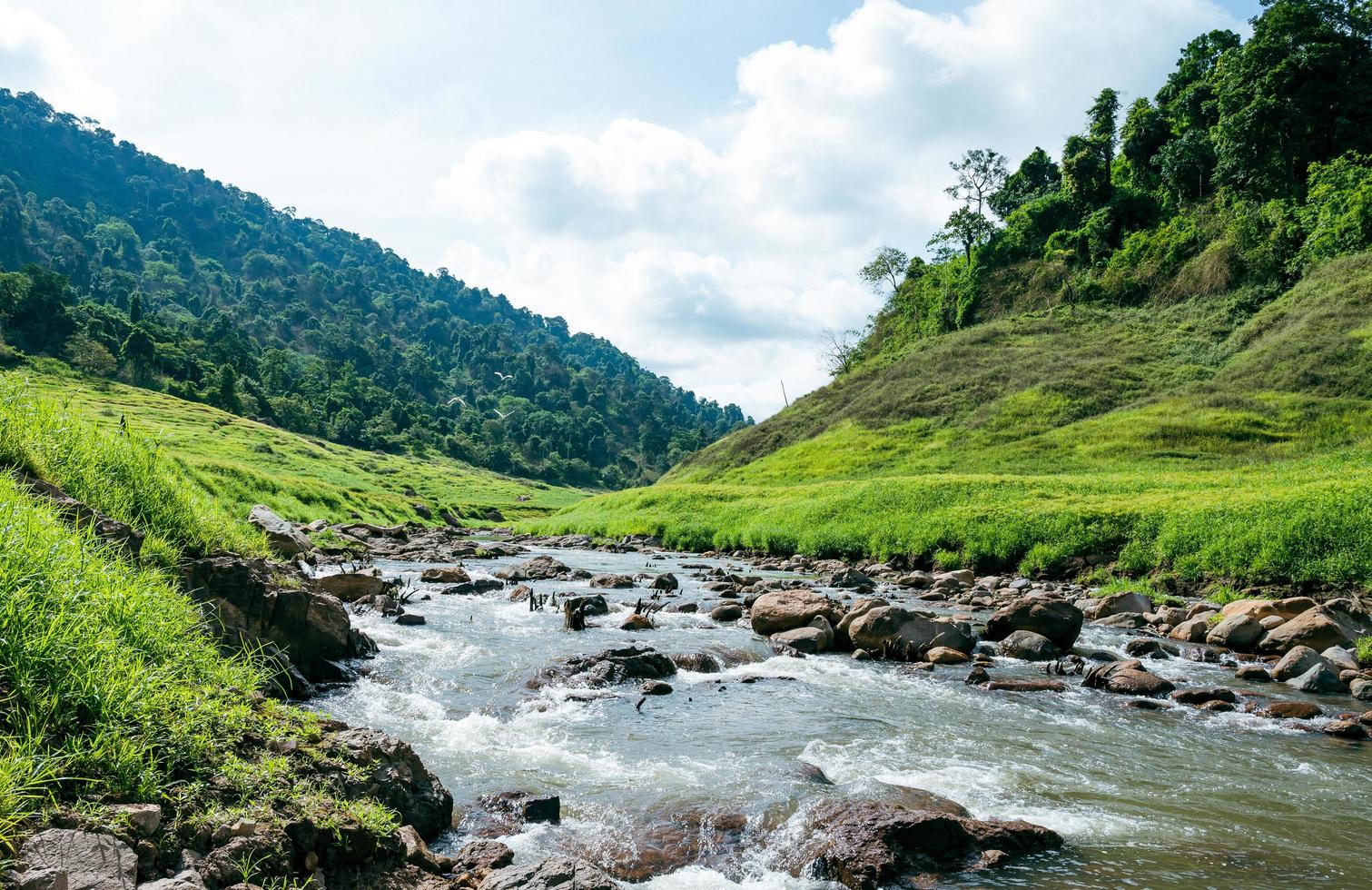 The scenic view of  Chong lom valley, Fresh and abundant in the national park a famous tourist attraction at Khun Dan Prakan Chon Dam, Nakorn Nayok province, Thailand photo