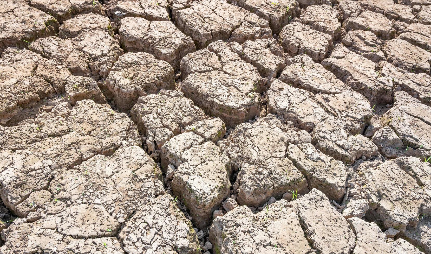 Fondo de textura de suelo de tierra agrietada seca, patrón de sequía falta de agua de la naturaleza vieja rota. foto