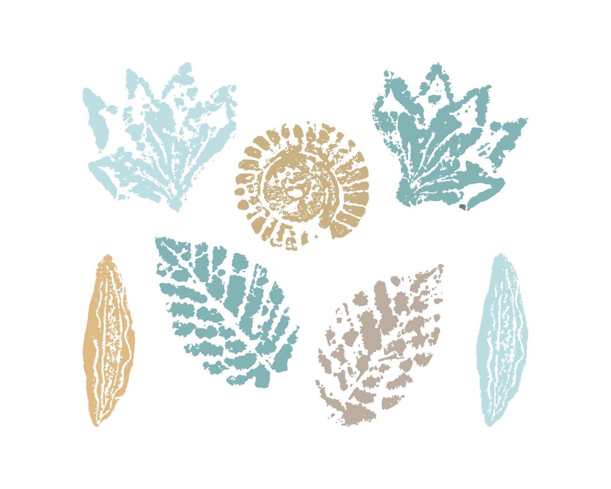 Stamp imprint set botanic leaf flowers pods, isolated. vector