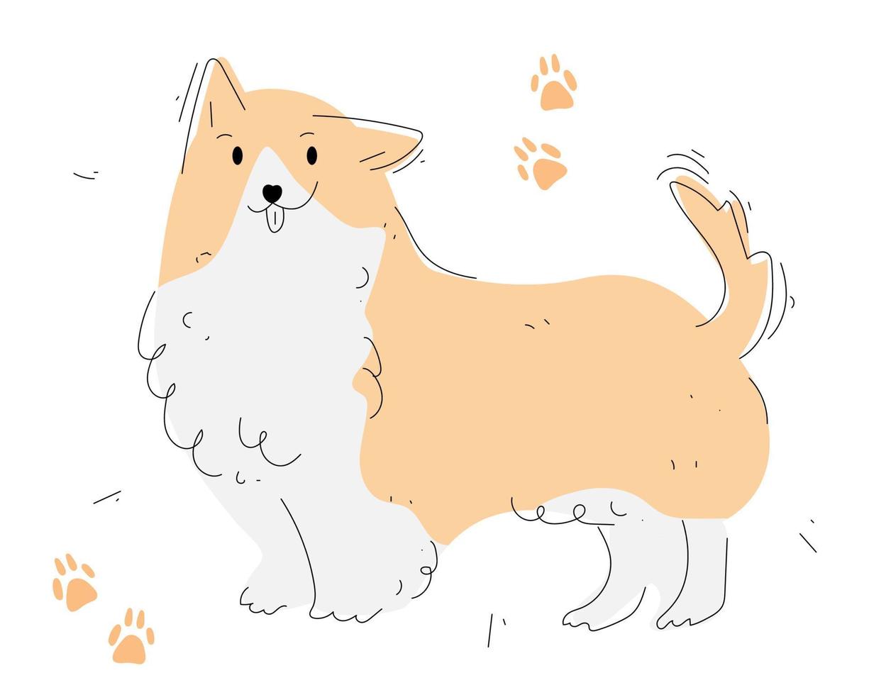 Hand drawn corgi illustration in doodle style vector
