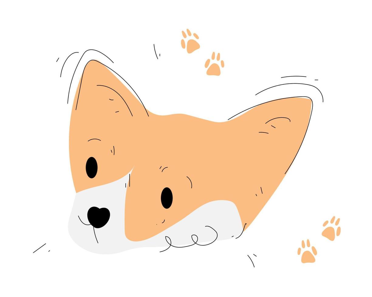 Hand drawn corgi illustration in doodle style vector