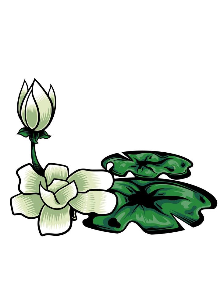 Swamp flower vector illustration