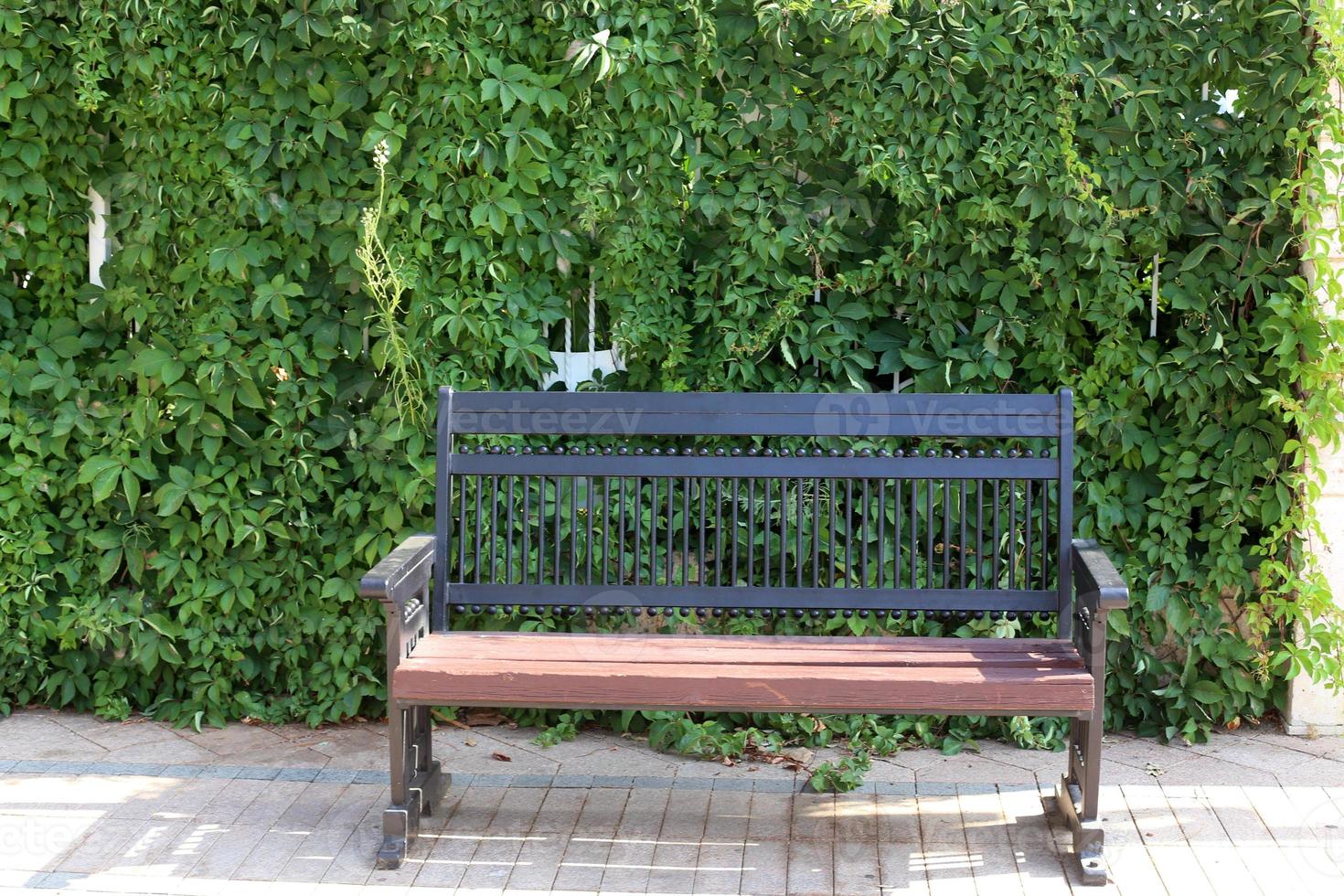 Bench for rest in the city park on the seashore. photo