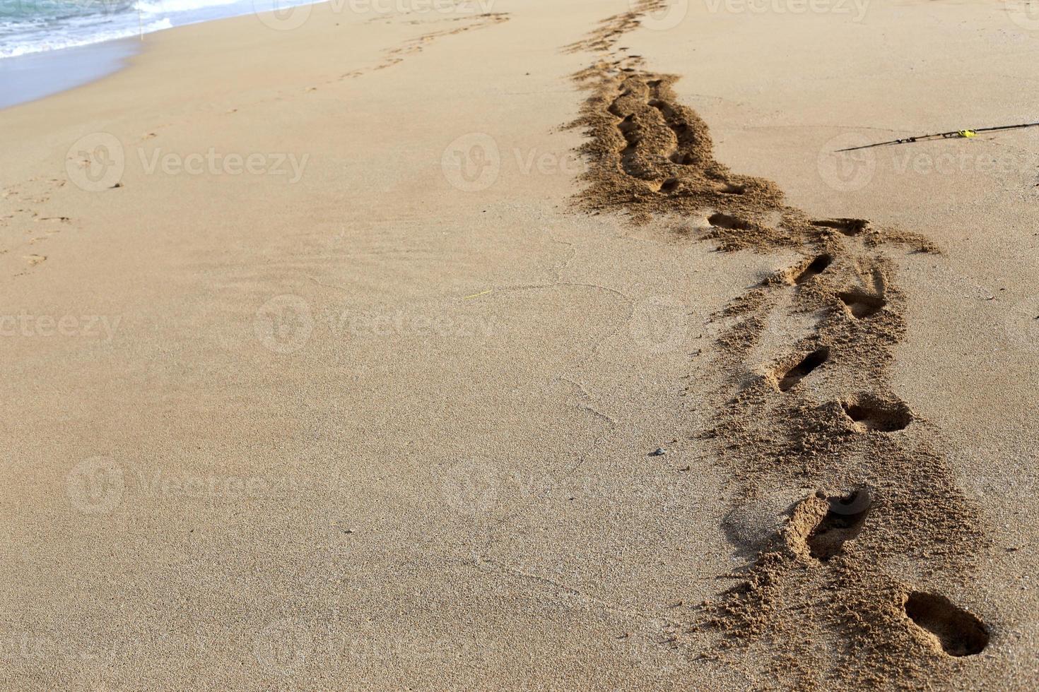 Footprints in the sand on the city beach. photo