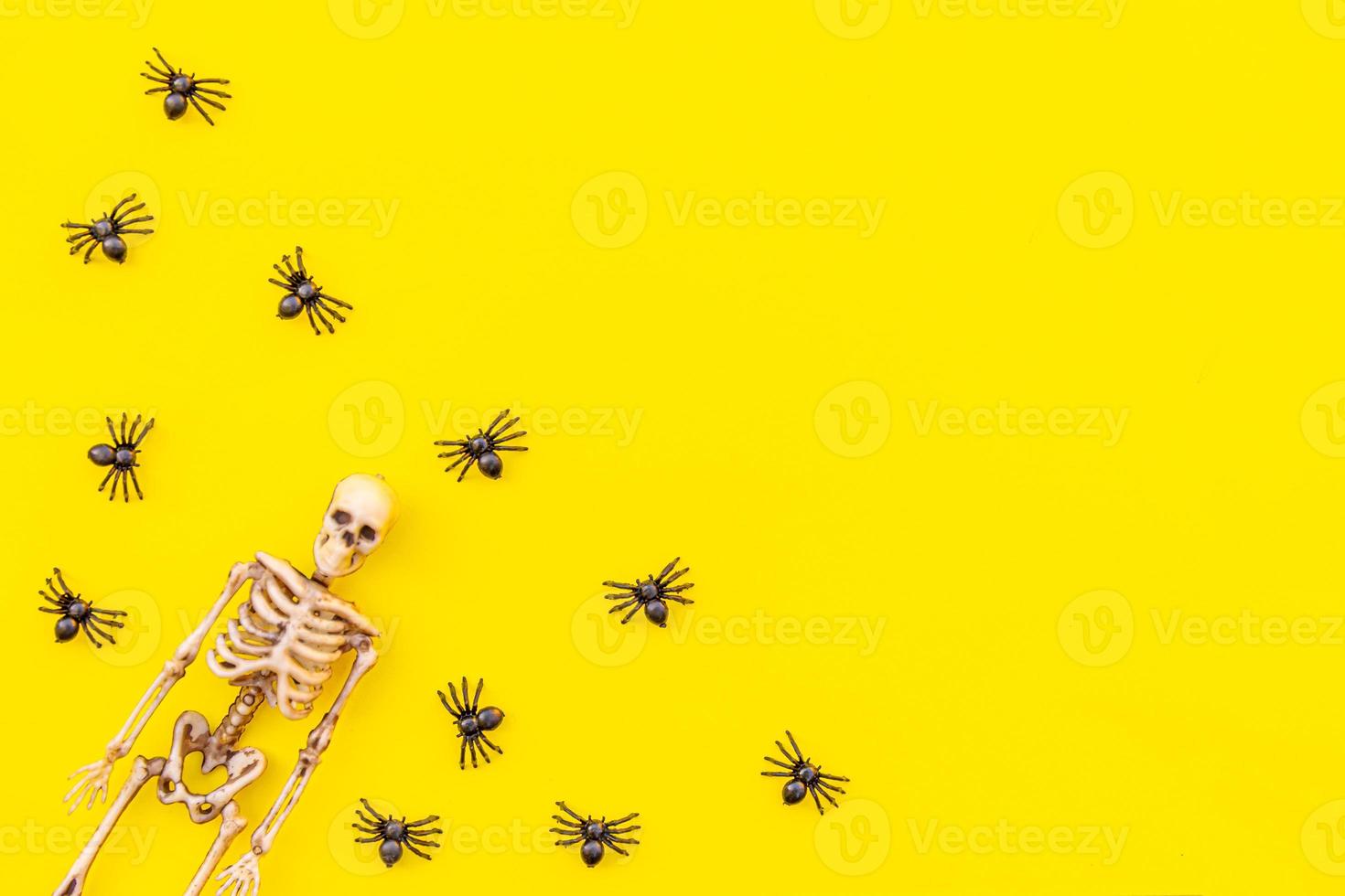 Halloween minimal decorations, composition with many black spiders and skeleton isolated on yellow background. Halloween celebration trick or treat concept. Flat lay top view copy space. photo