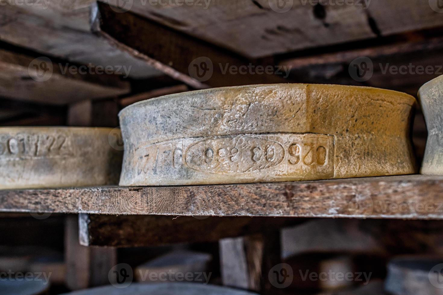 Nostrano cheese from the Orobian Alps being ripened photo