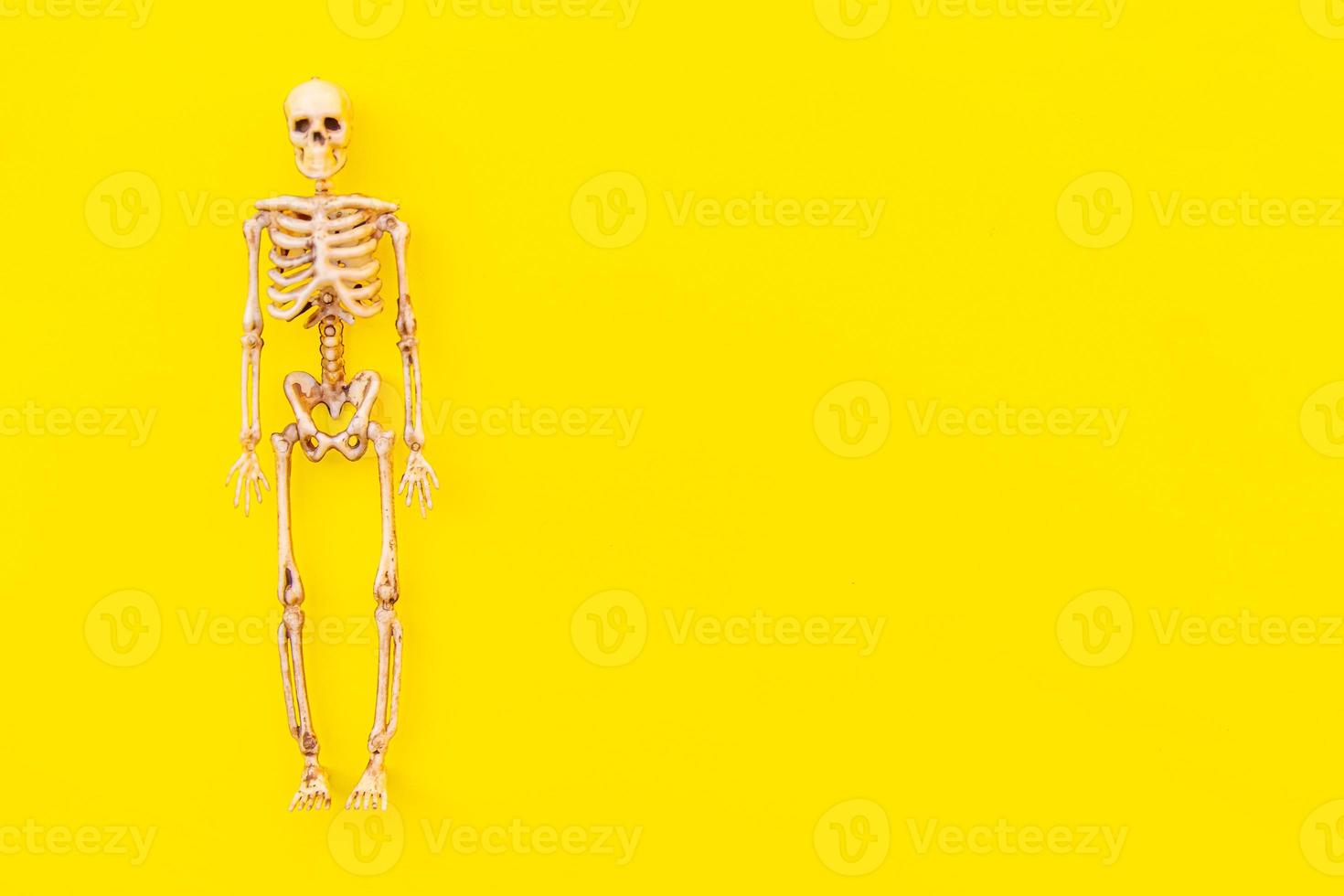 Halloween minimal decorations, composition with spooky skeleton monster isolated on yellow background. Halloween celebration trick or treat concept. Flat lay top view copy space. photo